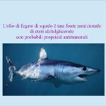 Antitumorali nell’olio di fegato di squalo
