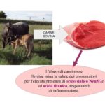 Carne bovina pro-infiammatoria per l’alto contenuto in Neu5Gc