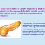 Il Pancreas dell’uomo moderno è ipertrofico