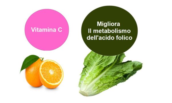 La Vitamina C migliora il metabolismo dell’acido folico