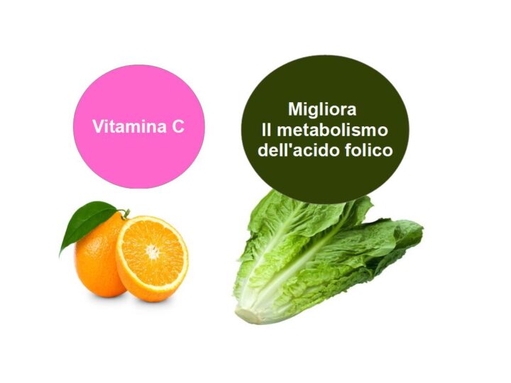La Vitamina C migliora il metabolismo dell'acido folico