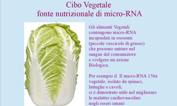 MicroRNA degli alimenti vegetali