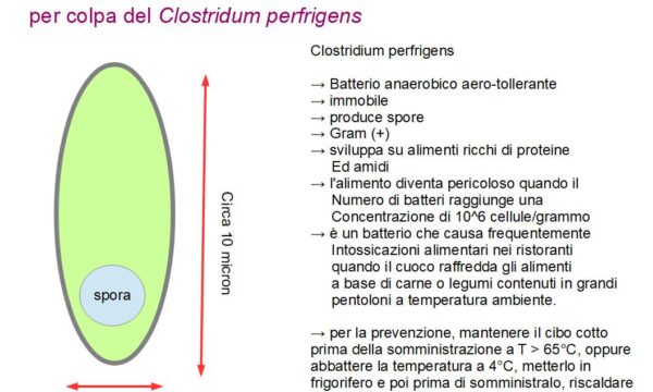La Diarrea da Clostridium perfrigens mangiando al ristorante